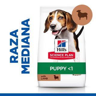 Hill's Science Plan Puppy Medium Cordeiro e Arroz ração para cães